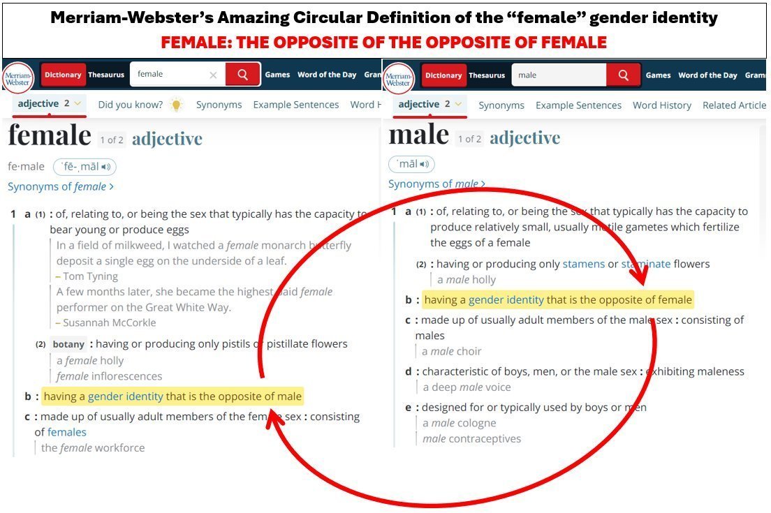 According to Websters New Transdefinitional Circular Dictionary, the ...