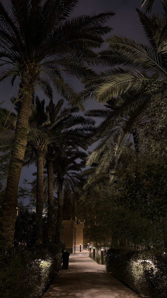 وتيـن🤎 tweet media