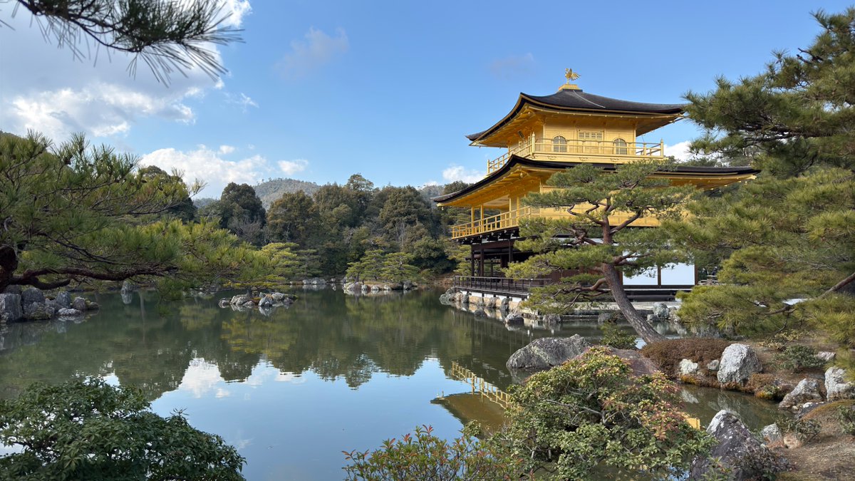 みうら(本物) tweet media