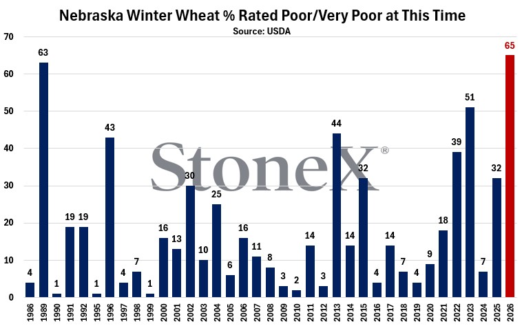 mike_castle2's tweet image. After this week's big jump in NE (+20% to now sit at 65% P/VP), I had to go back and look to confirm.

This is in fact the highest level of winter #wheat rated poor/very in Nebraska for the comparable week on record (#USDA began reporting in 1986). #oatt