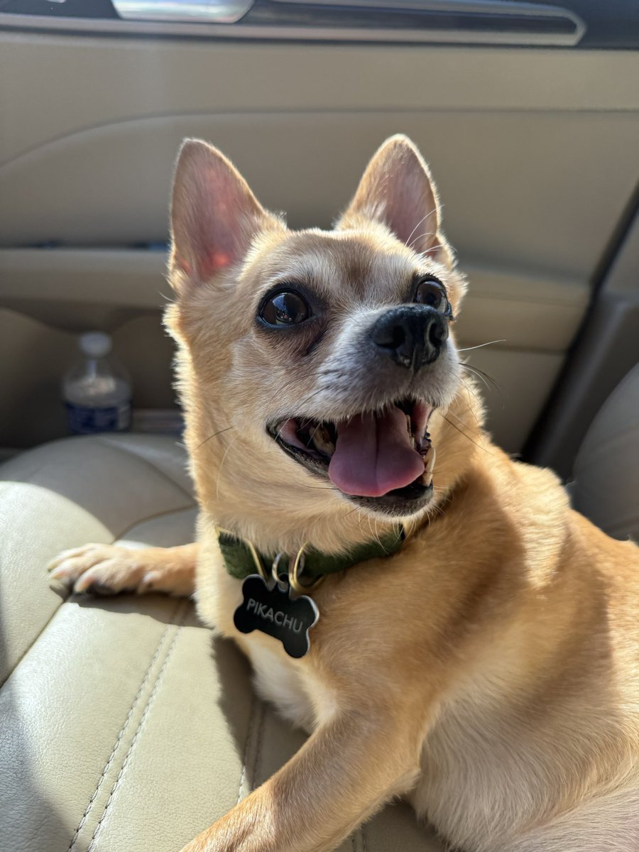 Parkour 🥎 tweet media