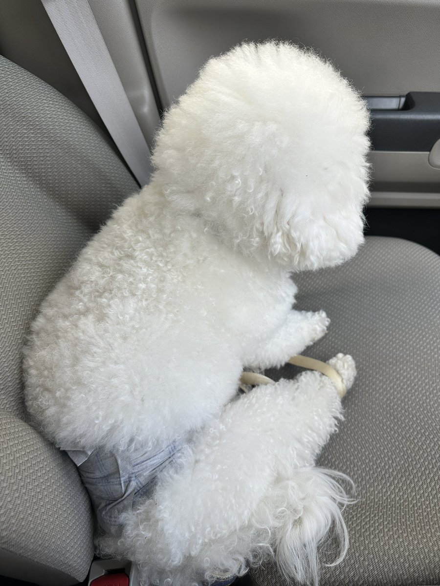 山岡 春 tweet media