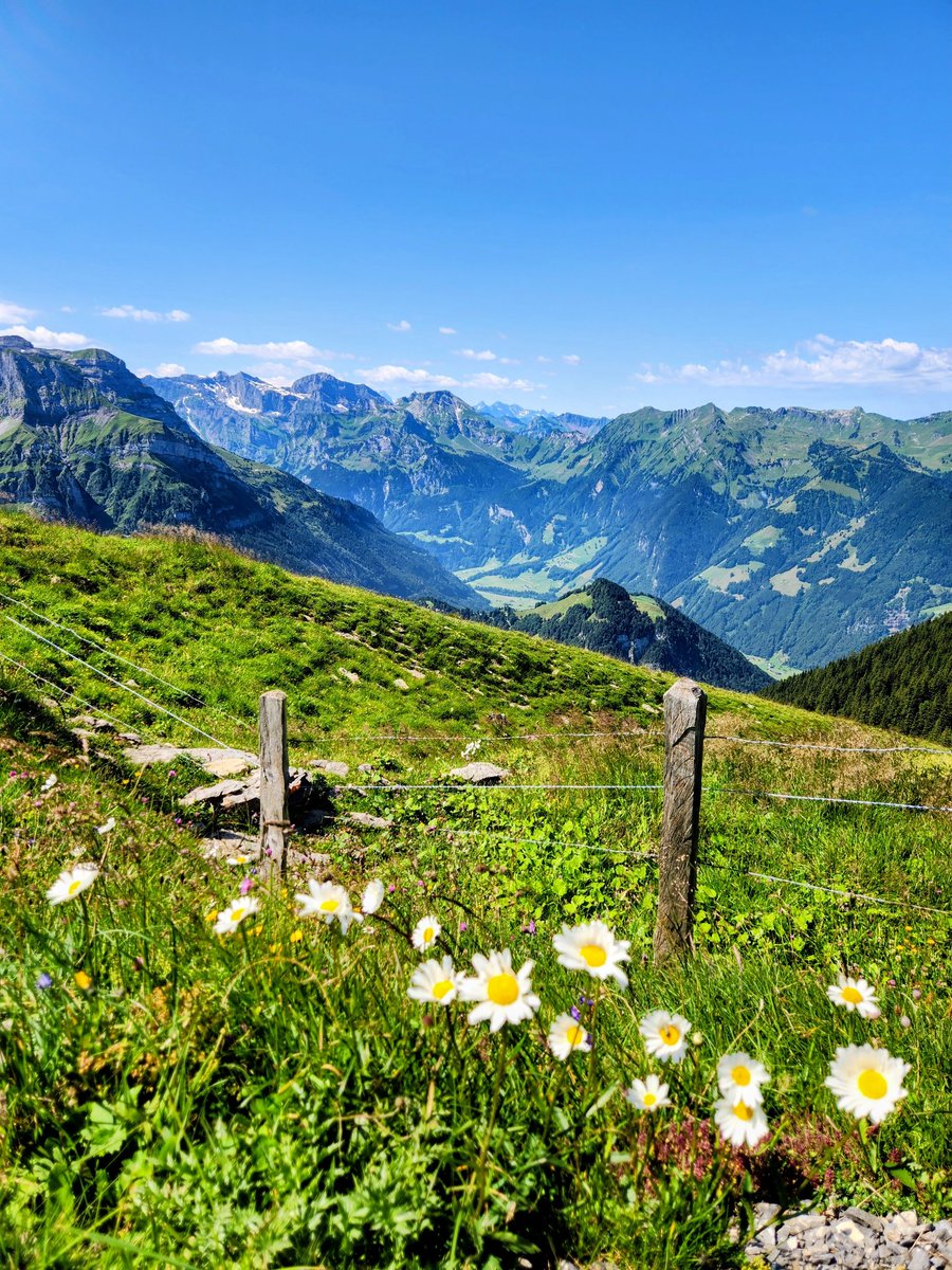 HikingSwitzerland tweet media