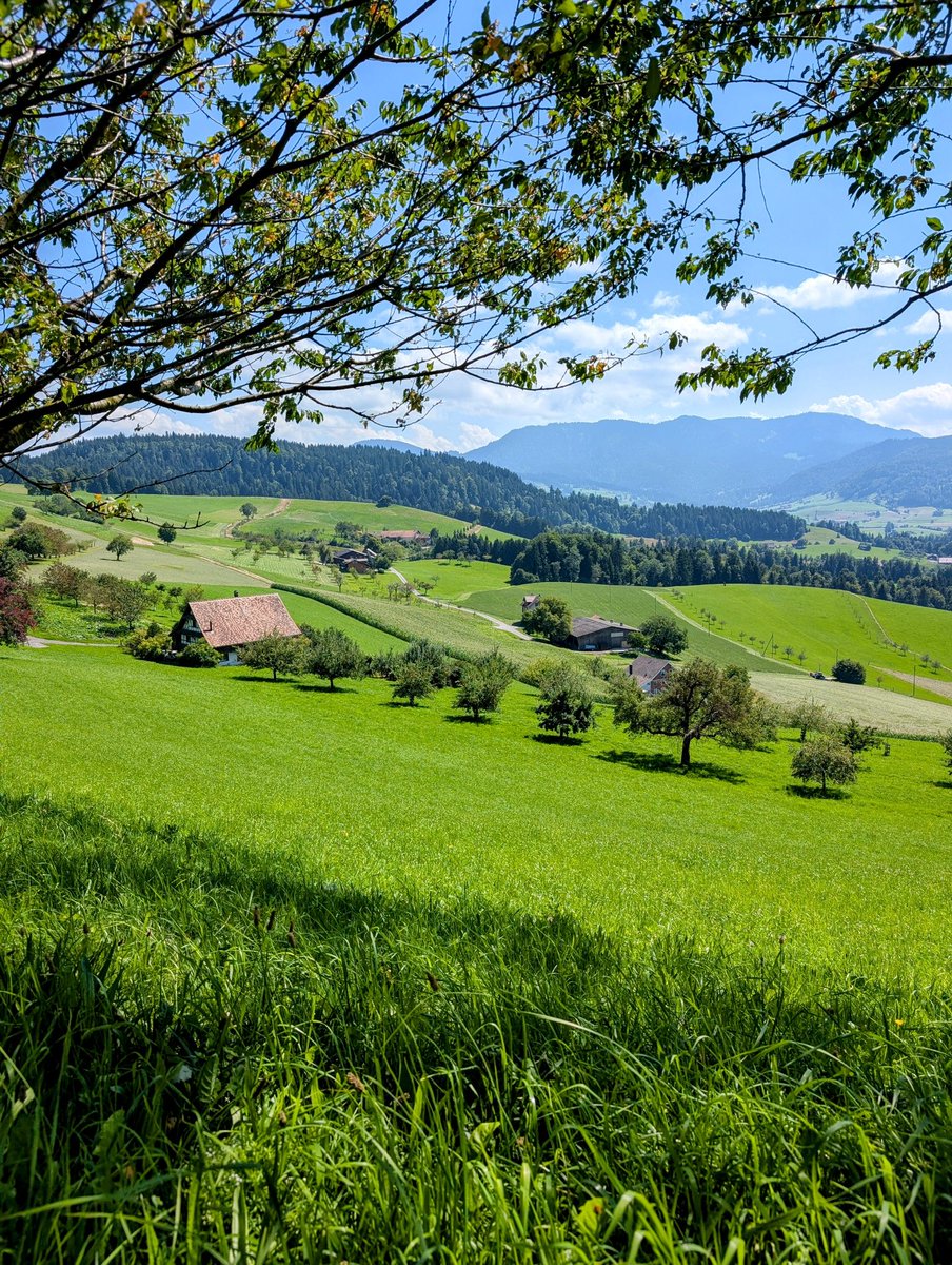 HikingSwitzerland tweet media