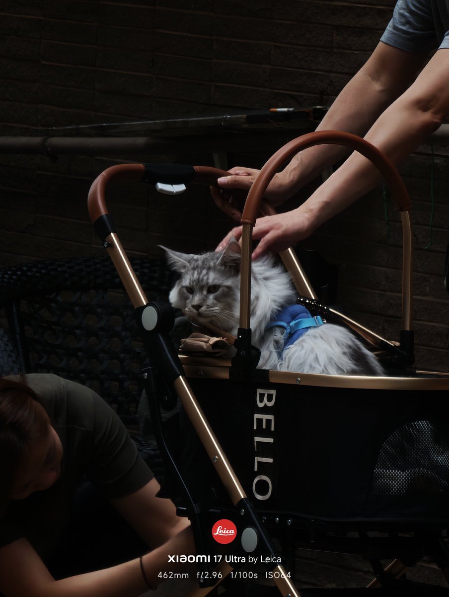 Frankforphones's tweet image. Xiaomi 17 Ultra vs Oppo Find x9 Ultra

3x and 20x

#oppofindx9ultra @oppo @OPPOIndia @OPPOJapan
#streetphotography #shotonsnapdragon