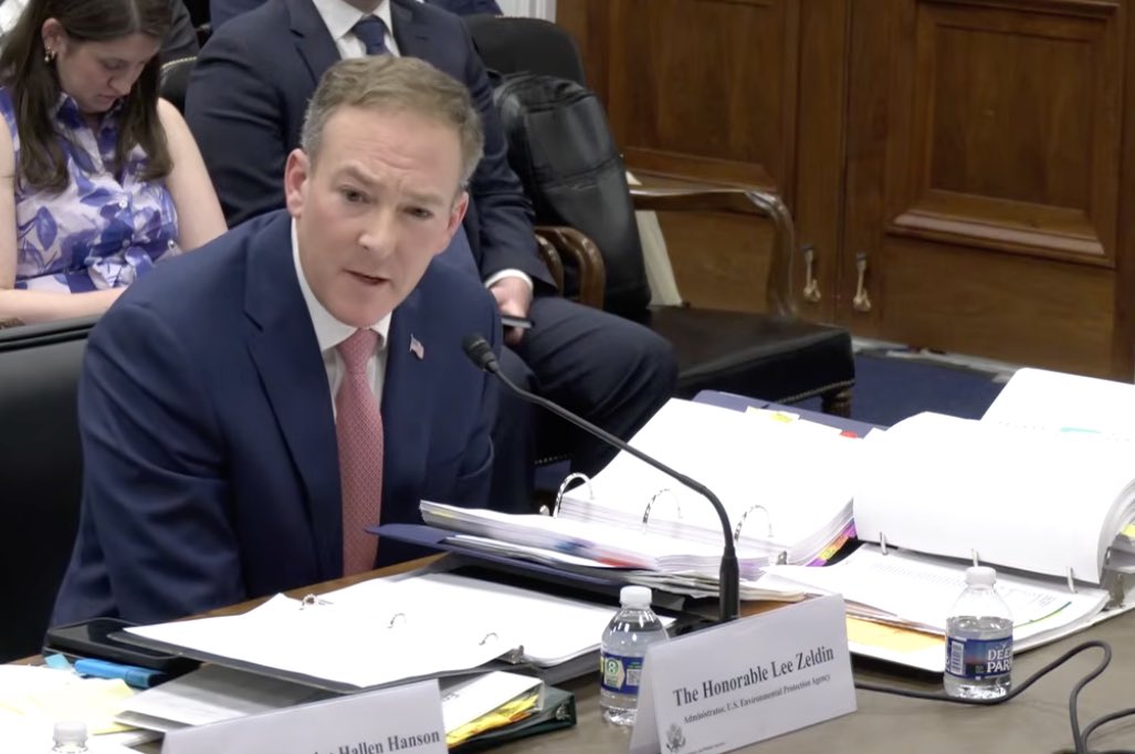 Zen Honeycutt tweet media