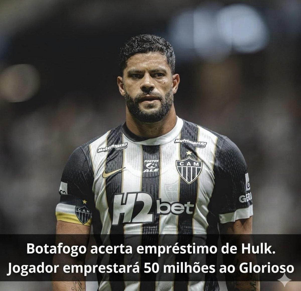 Bruno Leonardo tweet media