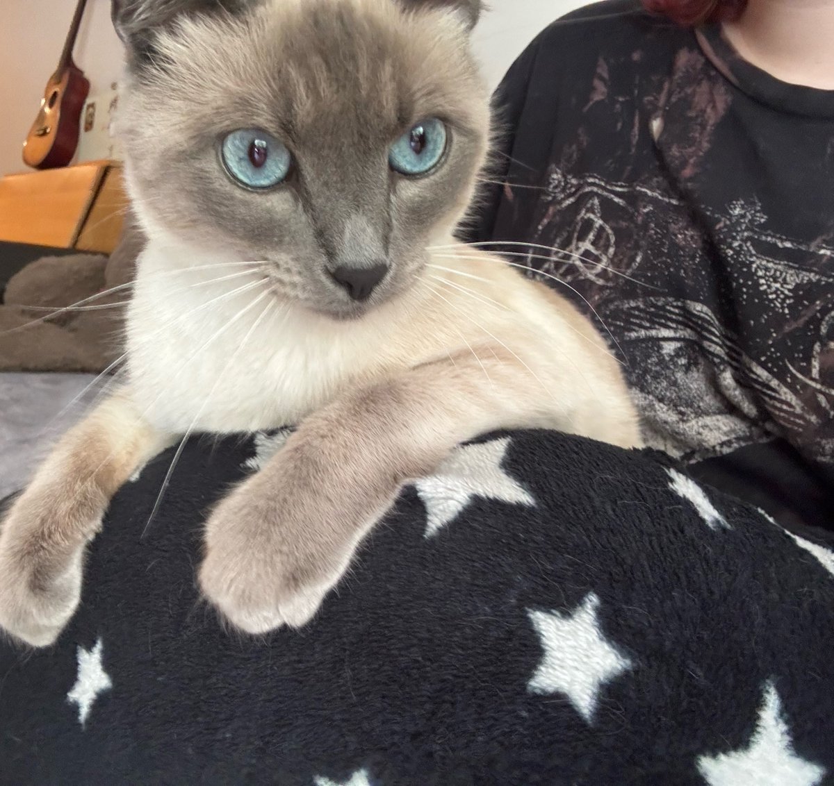 alex || PITT SMAU📌 tweet media