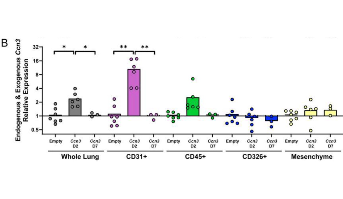 AJRCMB's tweet image. Lung-targeted lipid nanoparticle delivery of a matricellular mRNA promotes fibrotic lung repair

doi.org/10.1165/rcmb.2…

@atscommunity