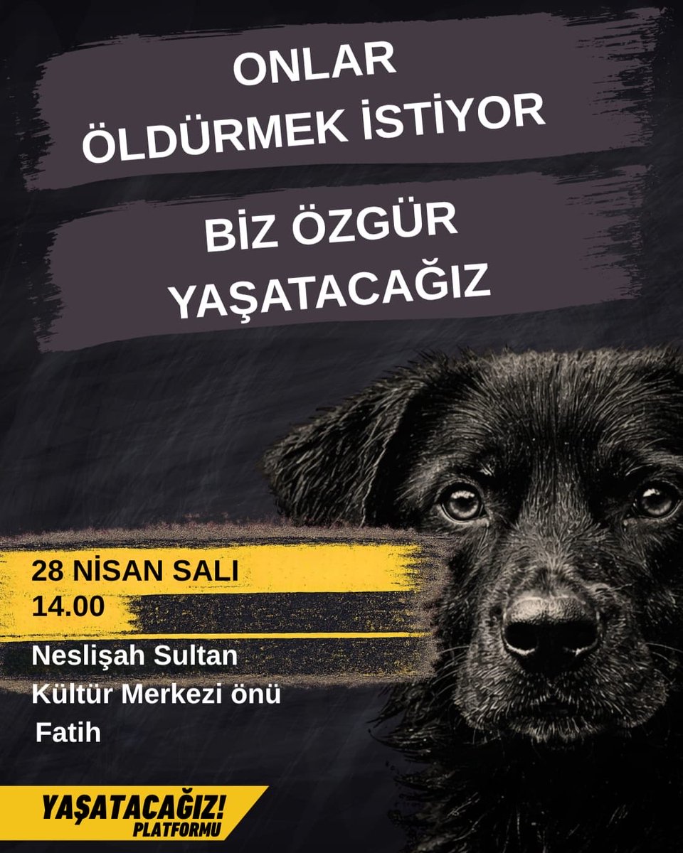 Yaşatacağız Platformu tweet media