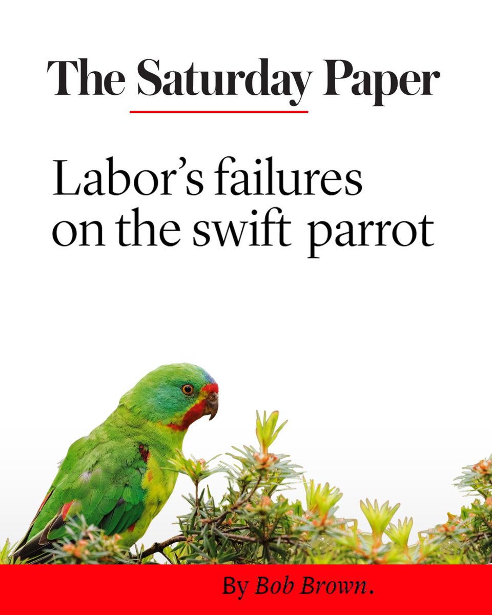 EnviroCentreNT's tweet photo. Renowned environmentalist, Bob Brown, says it clearly: rare birds like swift parrots and Gouldian finches will go extinct if Labor doesn’t take a stand on deforestation.

Read the article here: https://t.co/QkgyHNhX1R https://t.co/WT4dXCrU7l