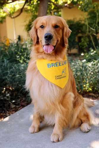 Canine Companions® tweet media