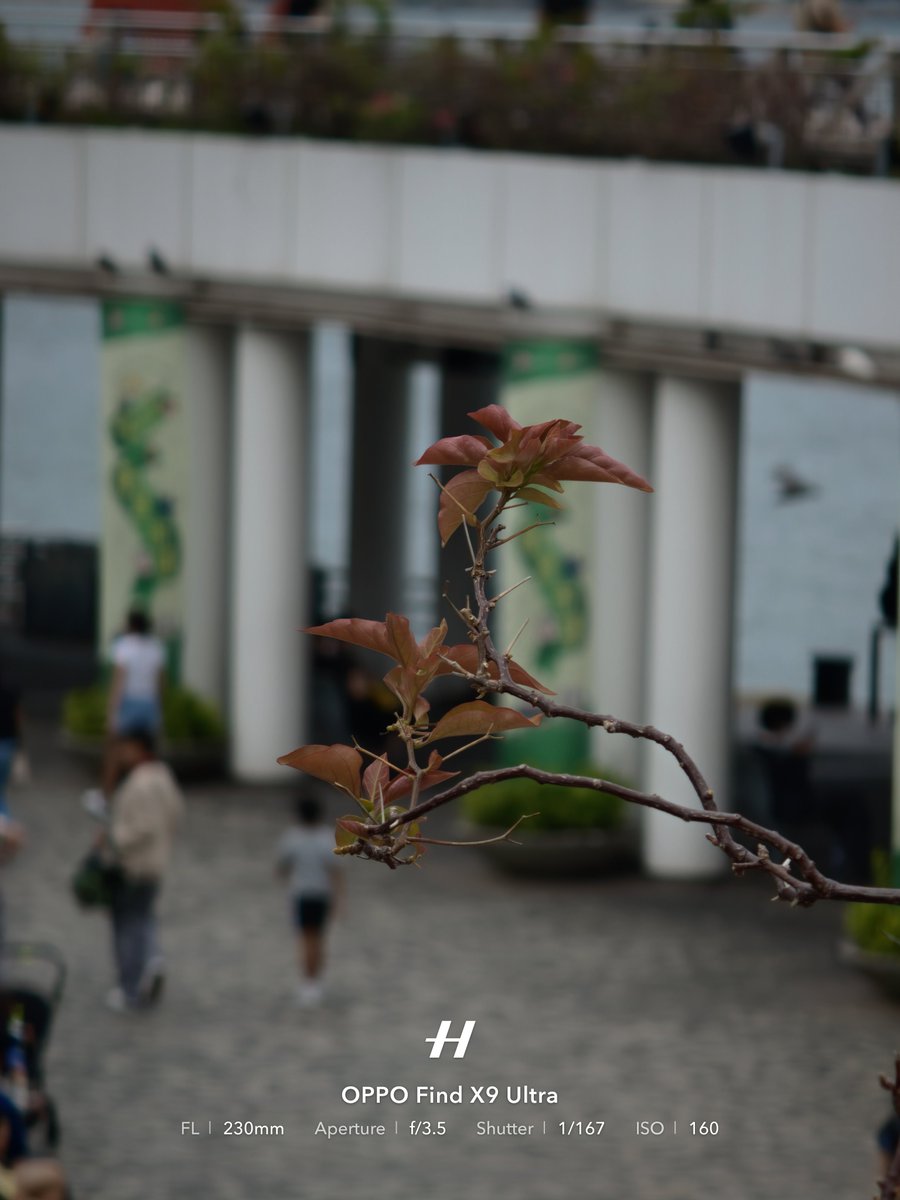 Frankforphones's tweet image. Xiaomi 17 Ultra Leica Edition vs Oppo Find x9 Ultra

10x M9
35mm photo mode

Bokeh and alley vibes

#oppofindx9ultra @oppo @OPPOIndia @OPPOJapan
#streetphotography #shotonsnapdragon