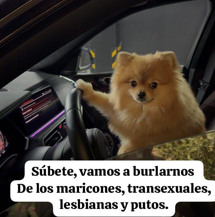 KeroSSen_Dimitriv tweet media