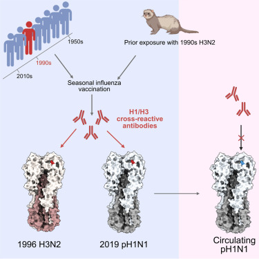Waggoner Lab tweet media