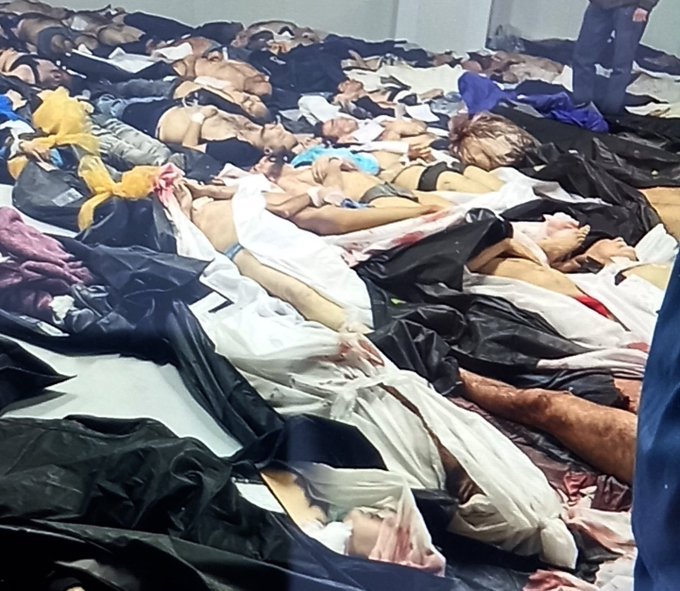 Golnar Sharifi tweet media