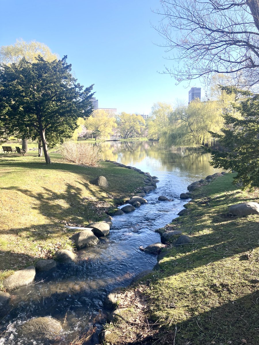 sora_FIRE45's tweet image. FIRE28日目の朝は、旅先で札幌中島公園をランニング
#FIRE