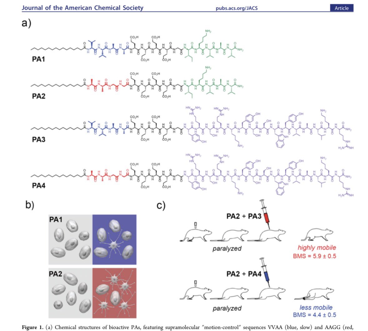 RadoslavPavlov4's tweet photo. New paper is out in @J_A_C_S. Go ➡️ check it out! Congratulations to all authors. #nmrchat #chem #biomaterials #regeneration #chemtwitter https://t.co/l17504XMC2