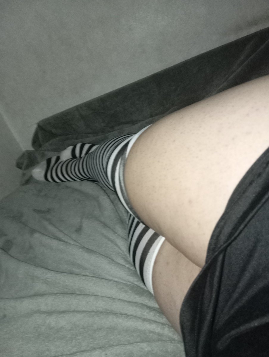 Femboyharpy tweet media