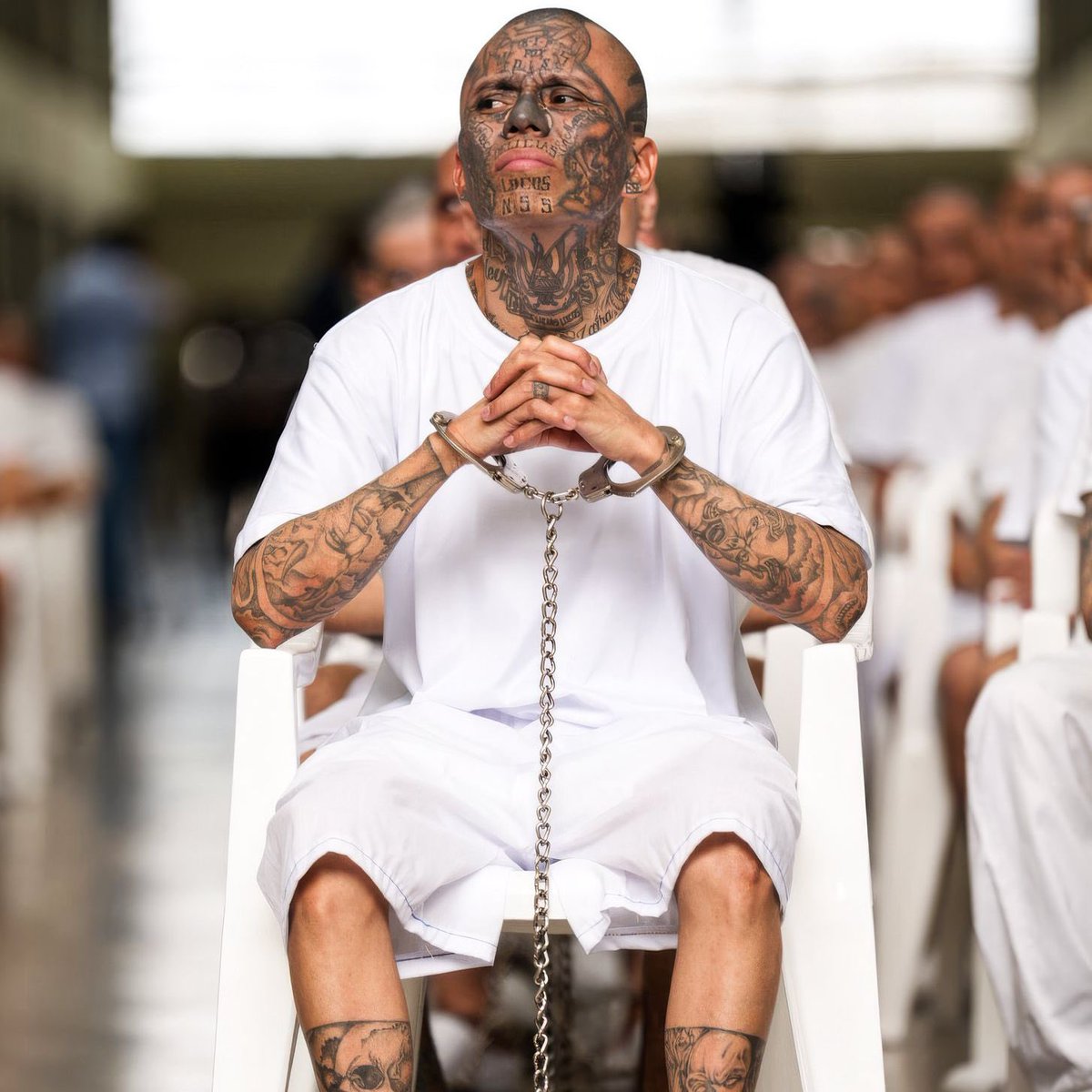 🎙️ Muhbir tweet media