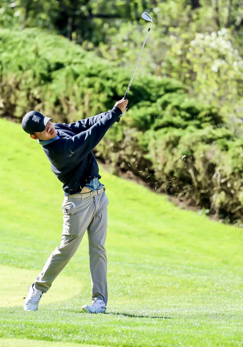 MSUB Golf tweet media