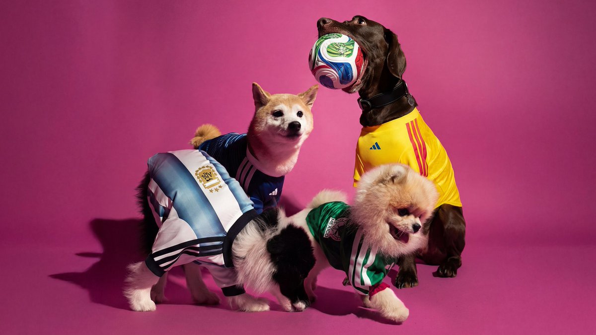 Pipol México tweet media