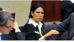 un girovago tweet media