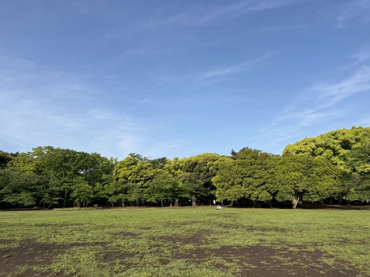 おはようございます