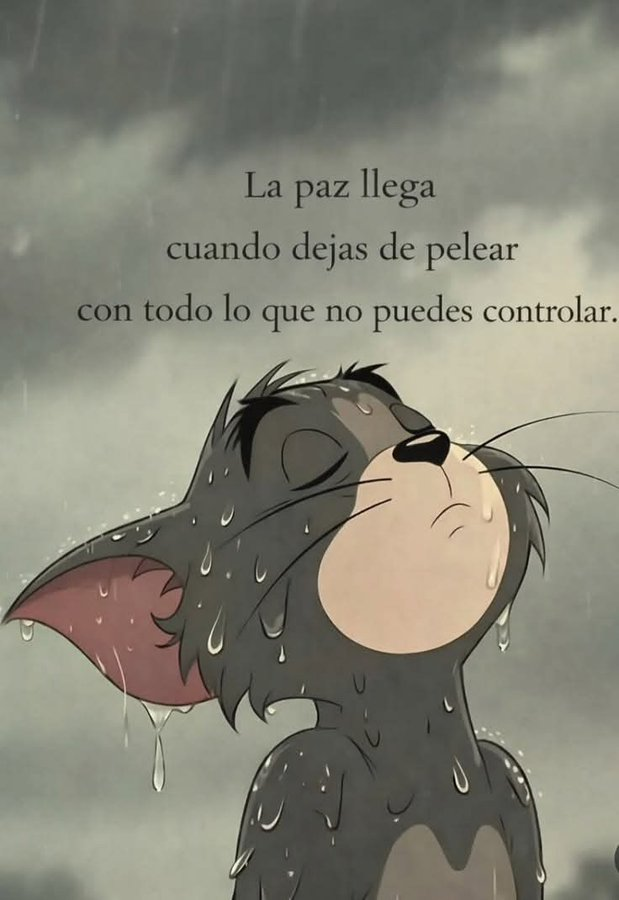 NavarNaty's tweet photo. A la chingada pinche Jerry https://t.co/JVFtWcC6C0