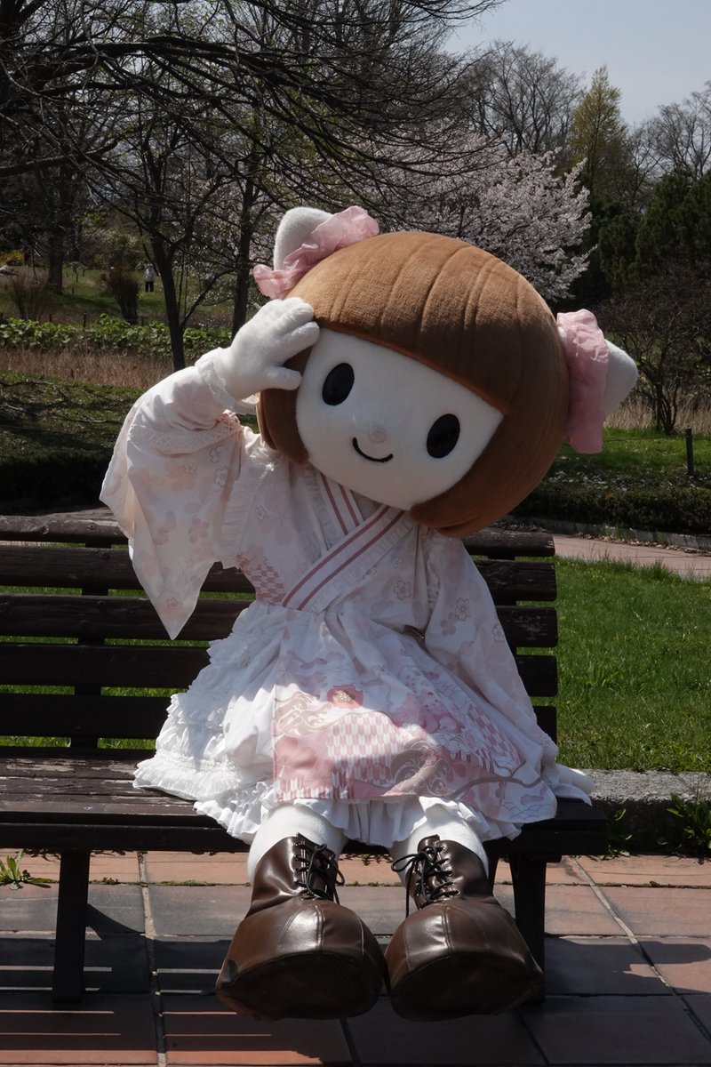 とまりん^^ tweet media