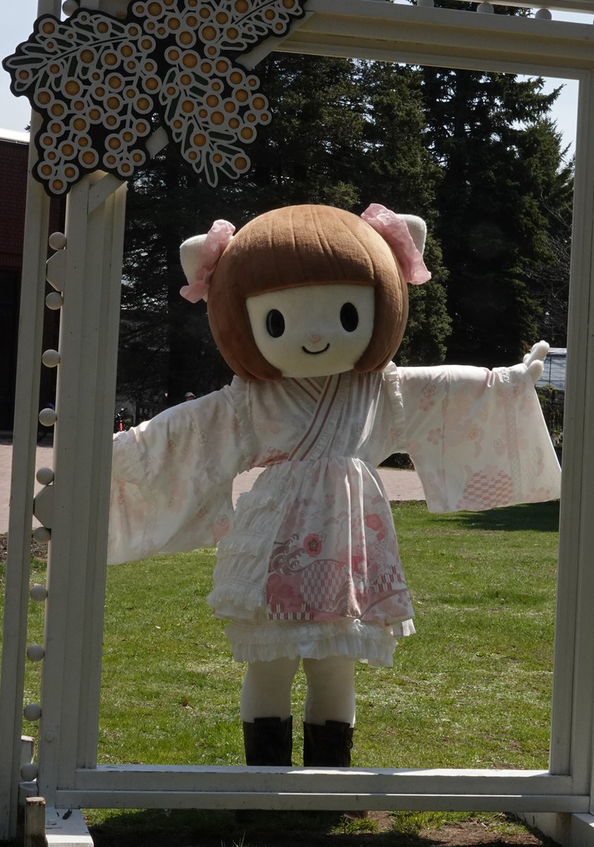 とまりん^^ tweet media