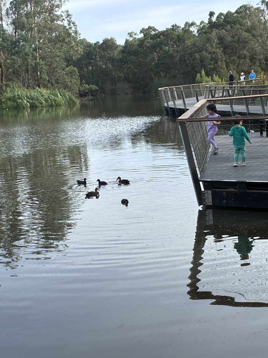 avinashjgd's tweet image. Melbourne wakes — Sunday 28th April 2026 Melbourne wakes -
I run. 😍… Completing One Year plus of Continuous Running😍
Heart racing. Feet flying.
Magic everywhere. ✨🔥

#Day #443 of #ContinuousRunning #TheMagicOfRunningContinues #AmchiMelbourne 😇
