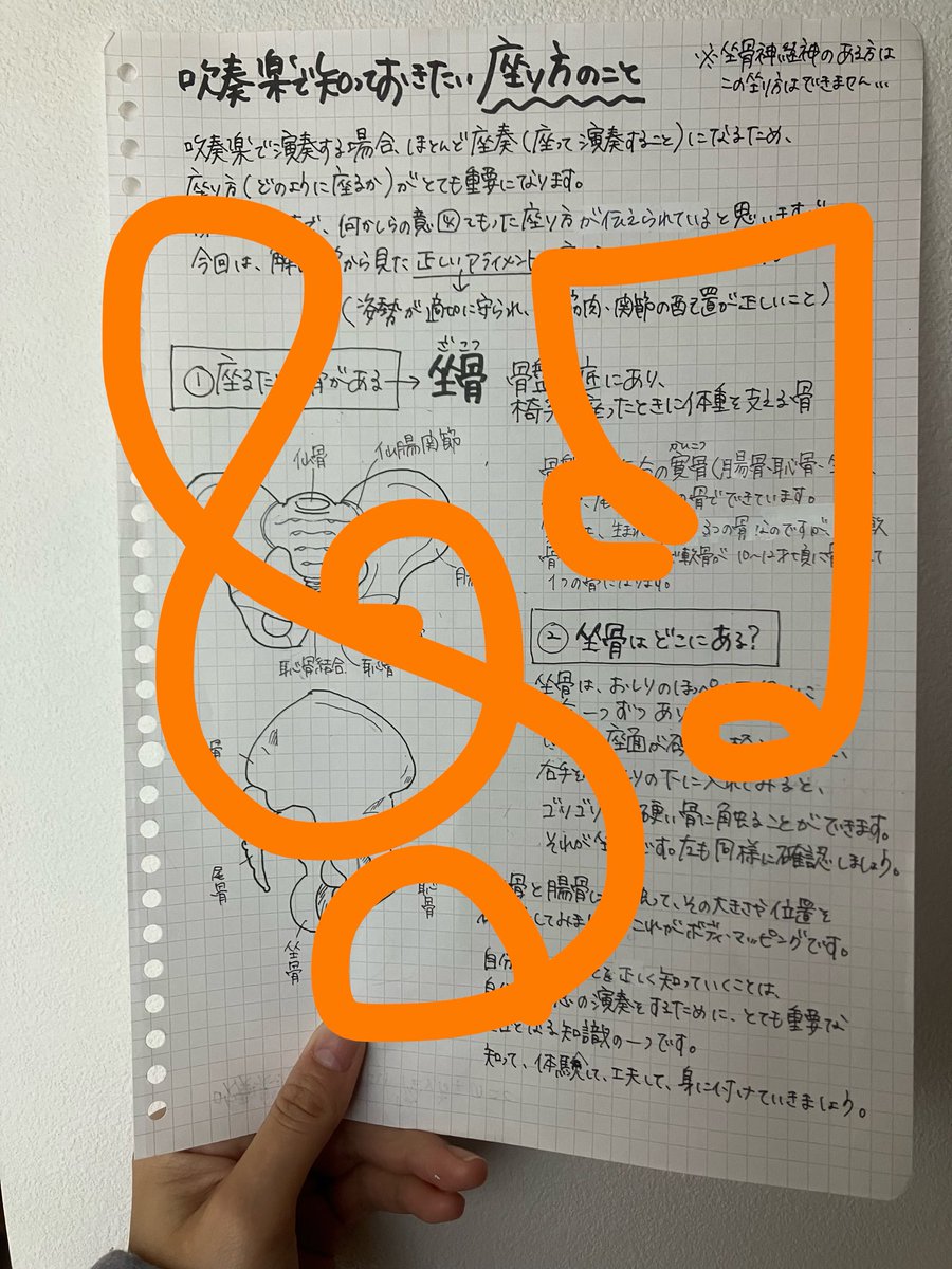 最近、吹奏楽部に入部された生徒さんや吹奏楽をされる大人の生徒さんが増えてきたので、改めてプリントにしてみました！

 #吹奏楽で知っておきたい座り方のこと

ちなに、坐骨のワークプリントも作成予定✨️
座り方変えると、ずどーーーんって音量が増えますよ😎