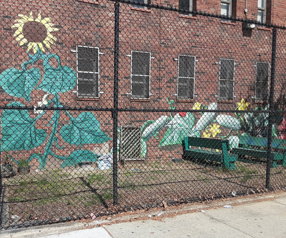 guerinosagainst's tweet image. Bronx Walls of Fame - "Great Futures Start Here." Madison Square Boys &amp;amp; Girls Club - The John E. Grimm III Clubhouse Garden Mural located on the side of Lorillard Pl &amp;amp; E. 189 St. #bronxwalloffame #streetmural #streetart #wallsoffame #bronxart #bronxgarden #boysandgirlsclub