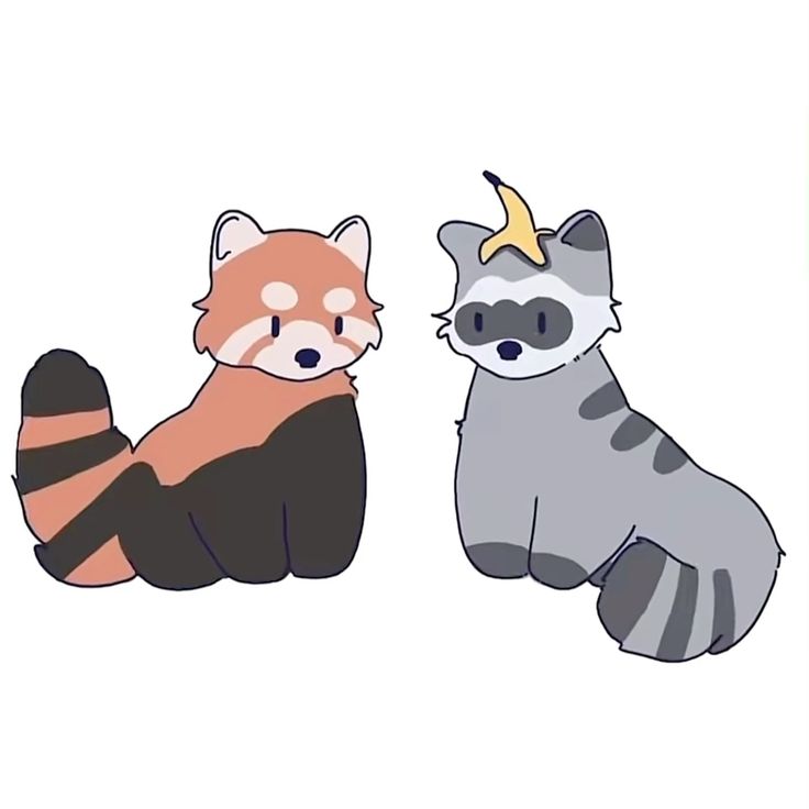 silly raccoons & pandas tweet media