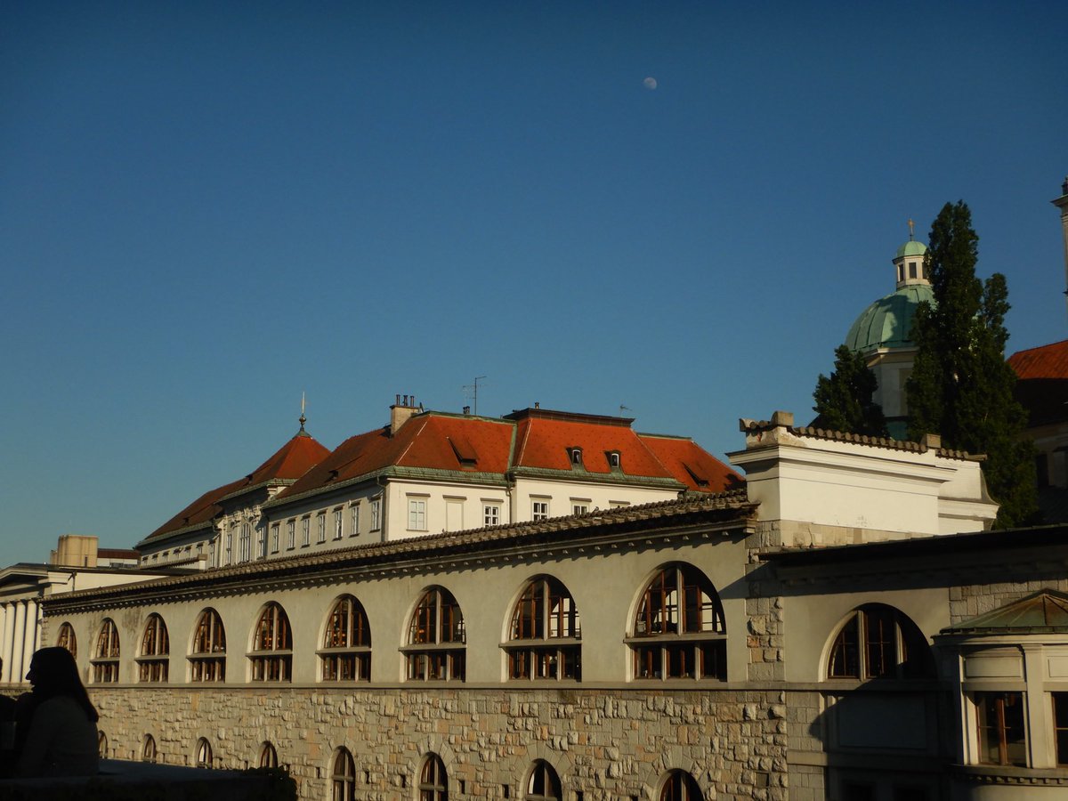 두마출 tweet media