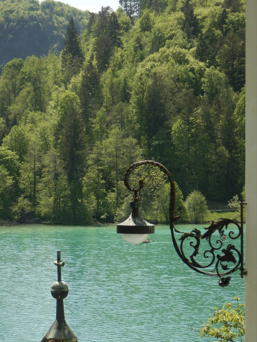 두마출 tweet media