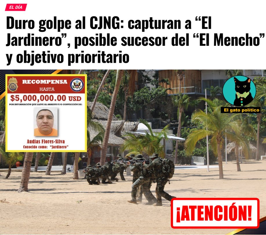 El gato político tweet media