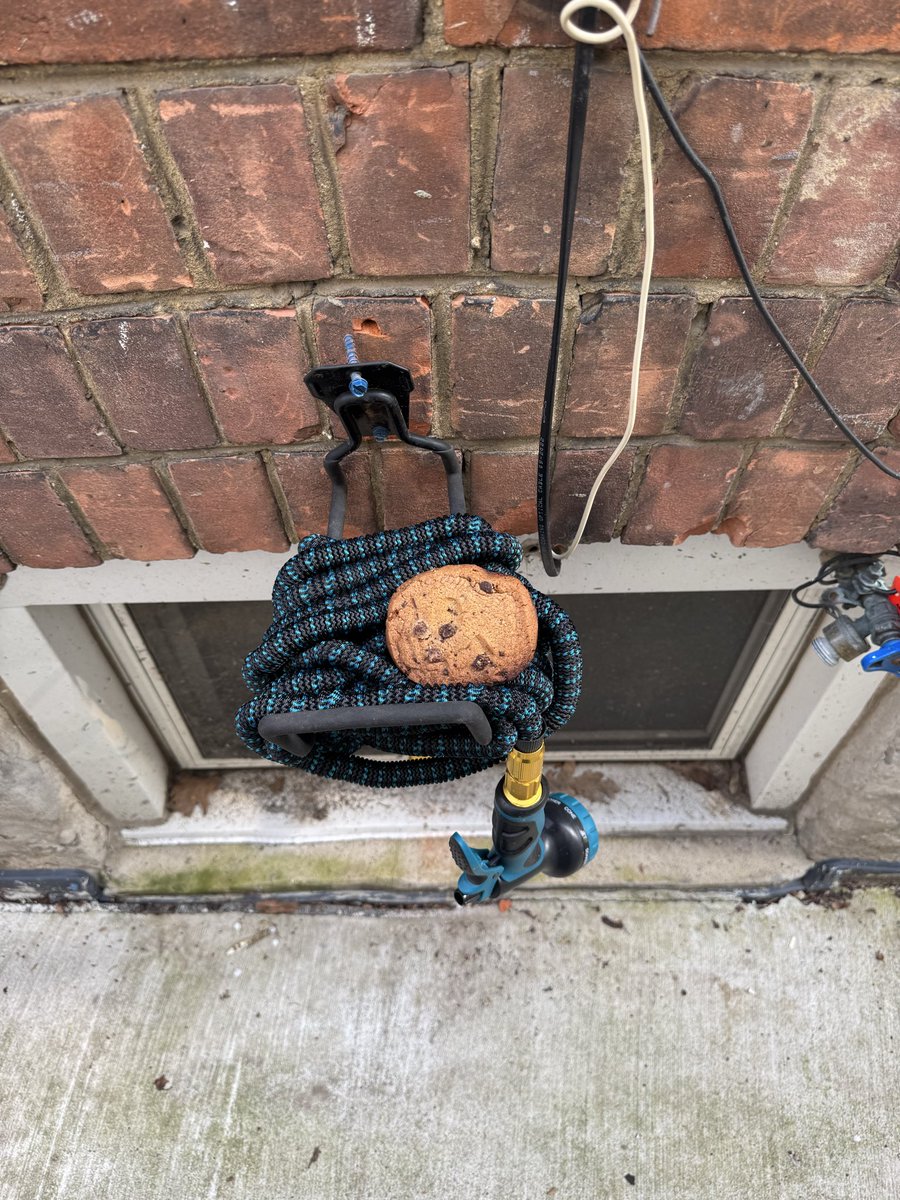 to_correspond's tweet photo. There’s a squirrel in that randomly leaves cookies in my yard. On the weekend I spotted a treat on the garden hose roll, and told my neighbours I think it’s back. They told me they saw a dead squirrel in the backyard earlier that day. I hope it’s a case of mistaken identity… https://t.co/wU330N2i32