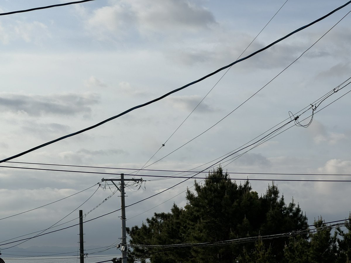 grass(ぐらす)@new_account tweet media