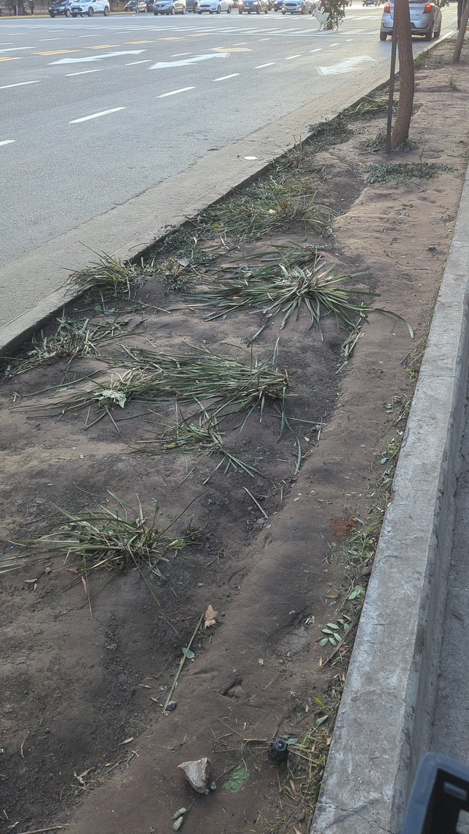 Colgala 🚲 tweet media