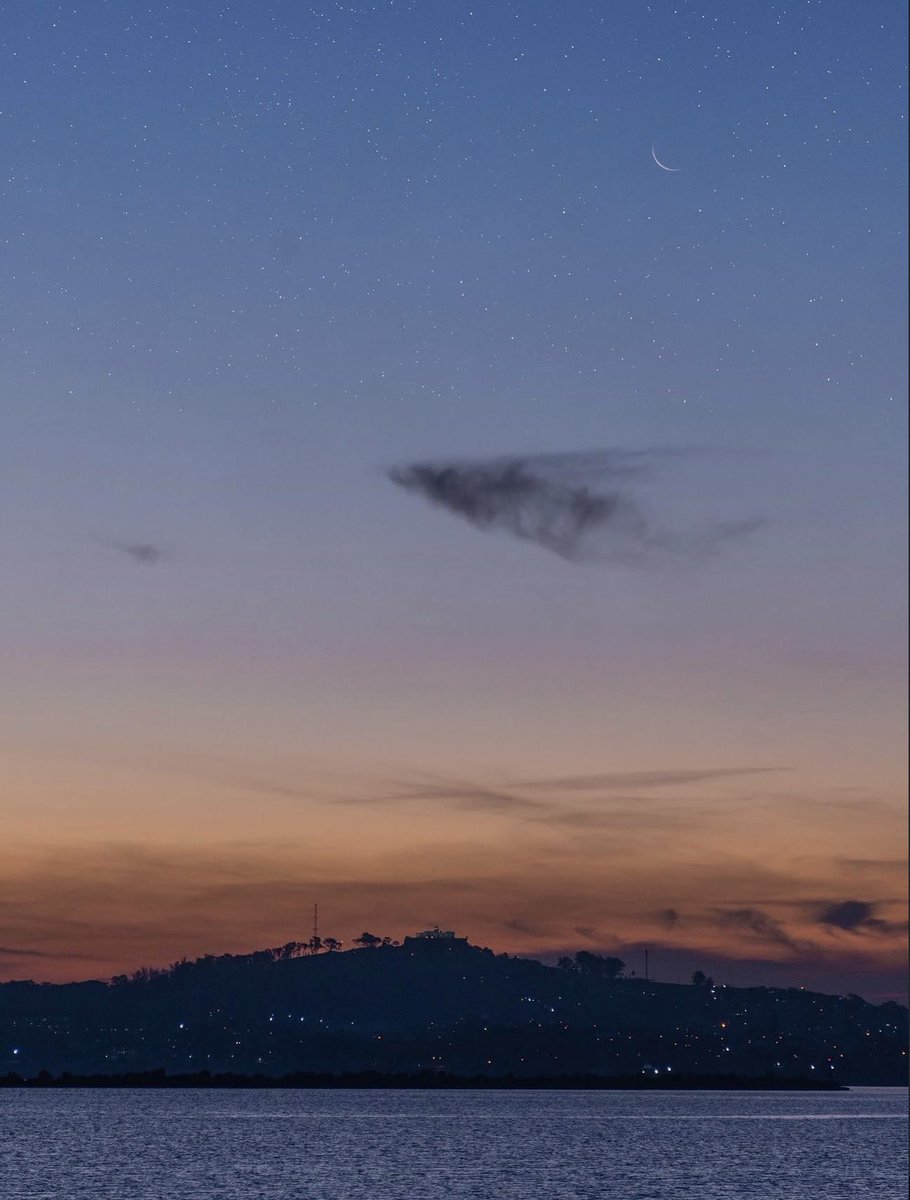 federica ★ tweet media