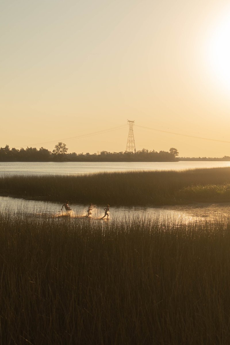 federica ★ tweet media