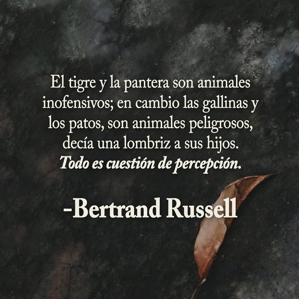 🦉 Filósofo Nocturno tweet media