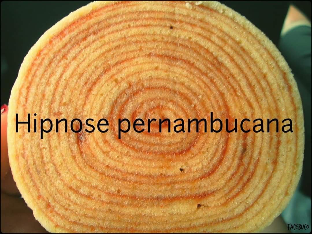 Pernambucoposting tweet media