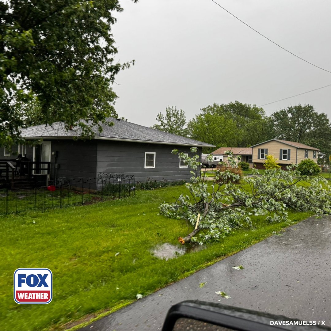 foxweather's tweet image. SEVERE AFTERMATH ‼️: Neighborhoods in Moberly, Missouri, are littered with downed trees after severe weather hit the area last night. Showers and thunderstorms are expected, as a Flood Watch has been issued.

#Missouri #Flood #Rain #Severewx #Damage #FOXWeather