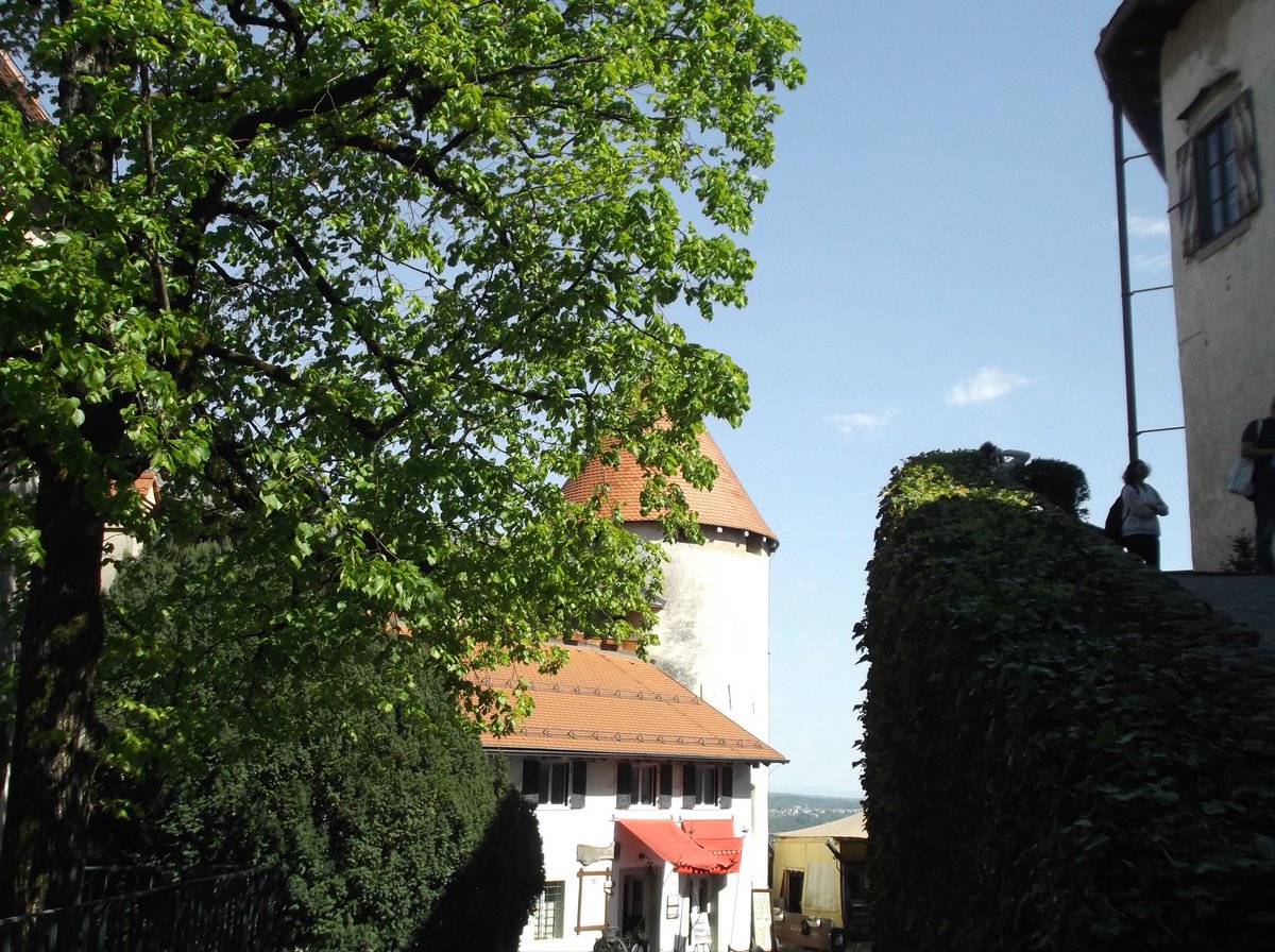 두마출 tweet media