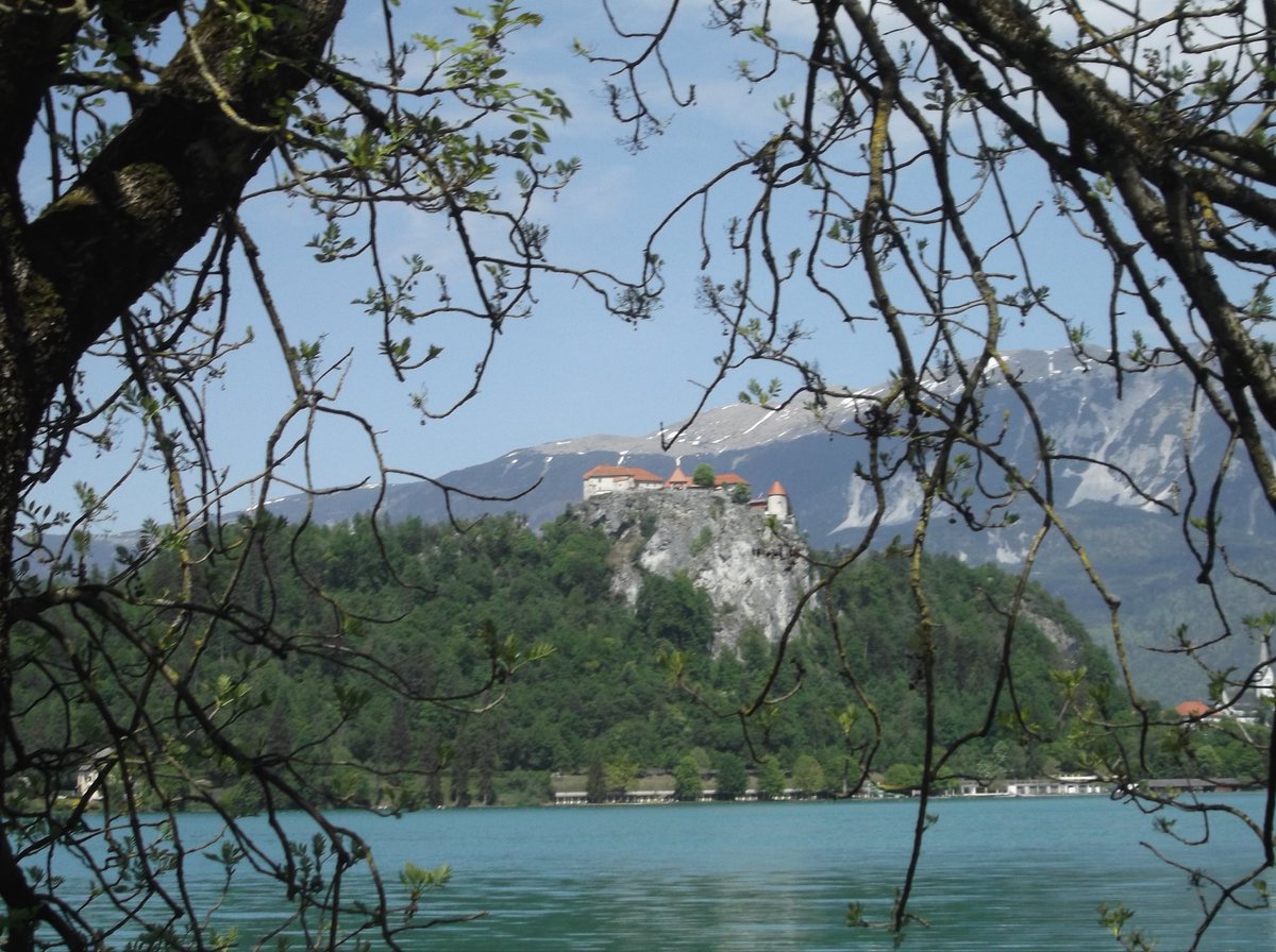 두마출 tweet media