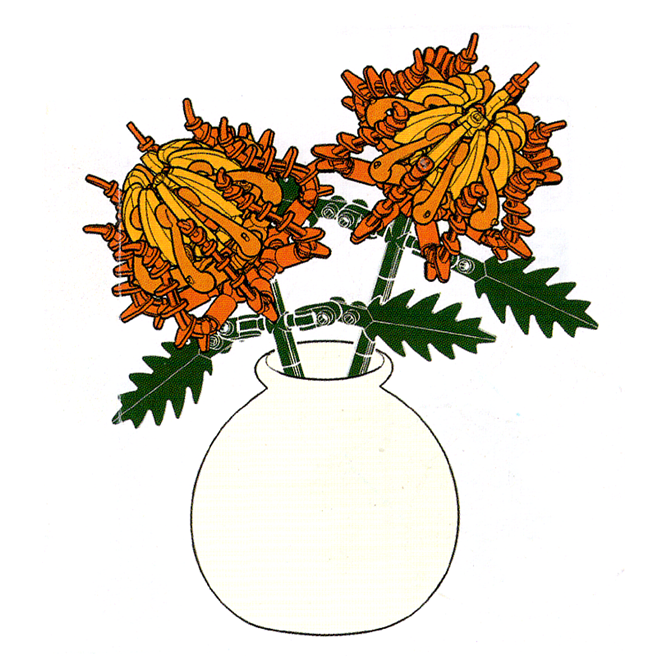 AllGoodsManual's tweet image. How to Build Thorny Marigold M3179 Blocks Instructions
youtu.be/9FvMaos-uAU
JIHUI Building Blocks - Bottled Flower Thorny Marigold M3179
Pieces : 132pcs
#Assembly #Bottled #Flower #JIHUI #M3179 #Marigold #MicroBlock #MiniBlock #NanoBlock #Thorny_Marigold