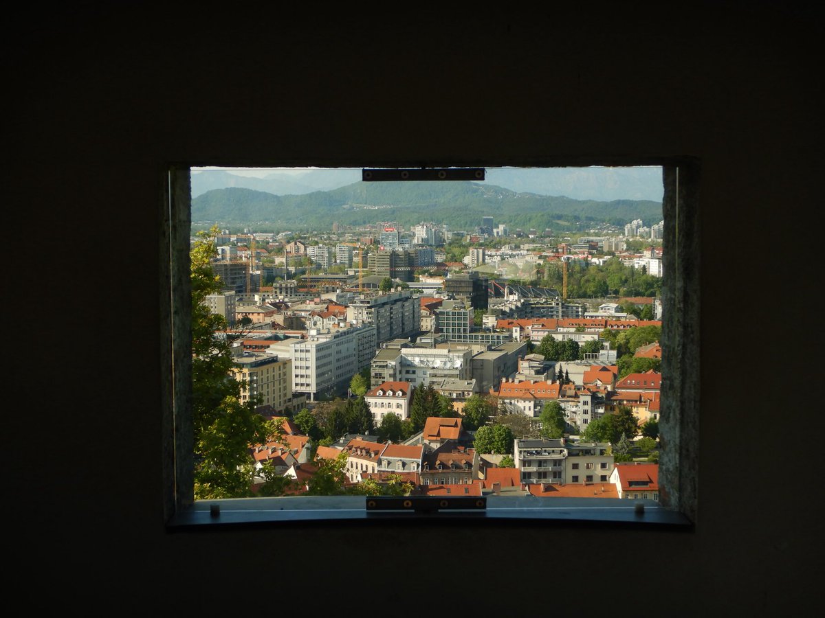 두마출 tweet media